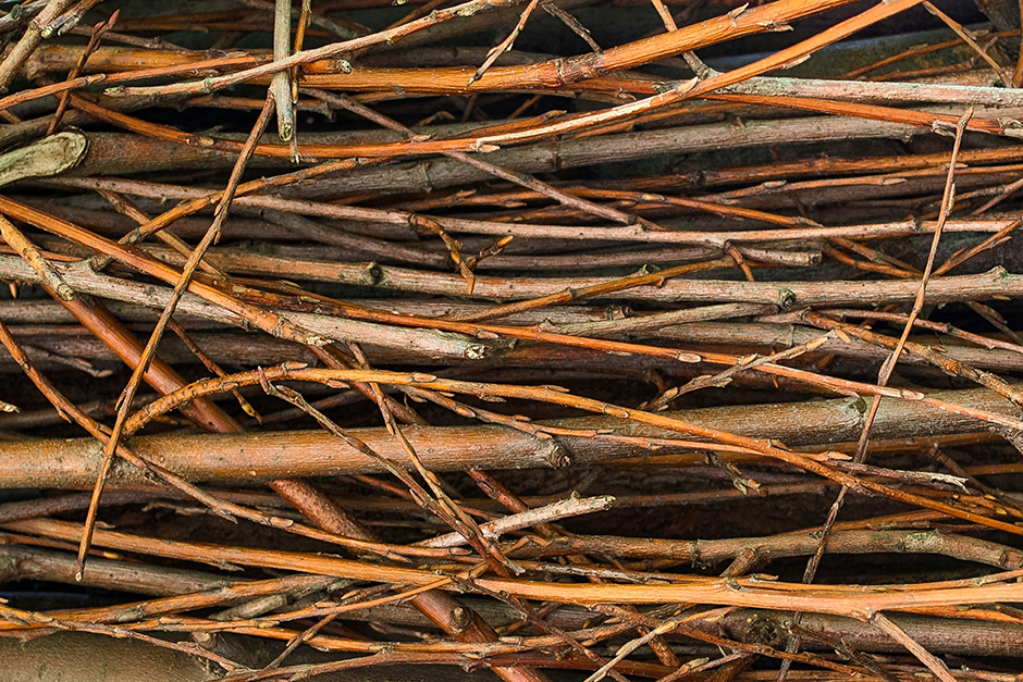 osterfeuer-zaunkoenige-amseln-rotkehlchen-nisten Zaunkönige, Amseln und Rotkehlchen nisten im Osterfeuer